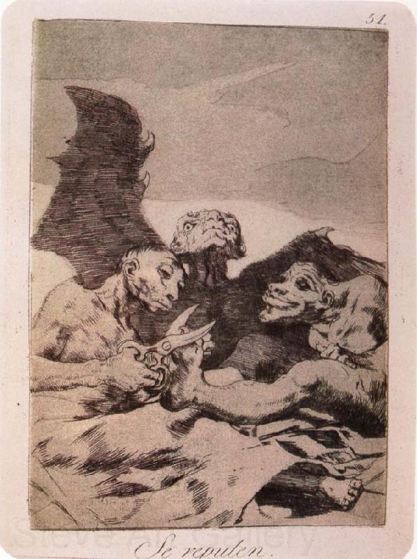 Francisco Goya Se Repulen Norge oil painting art